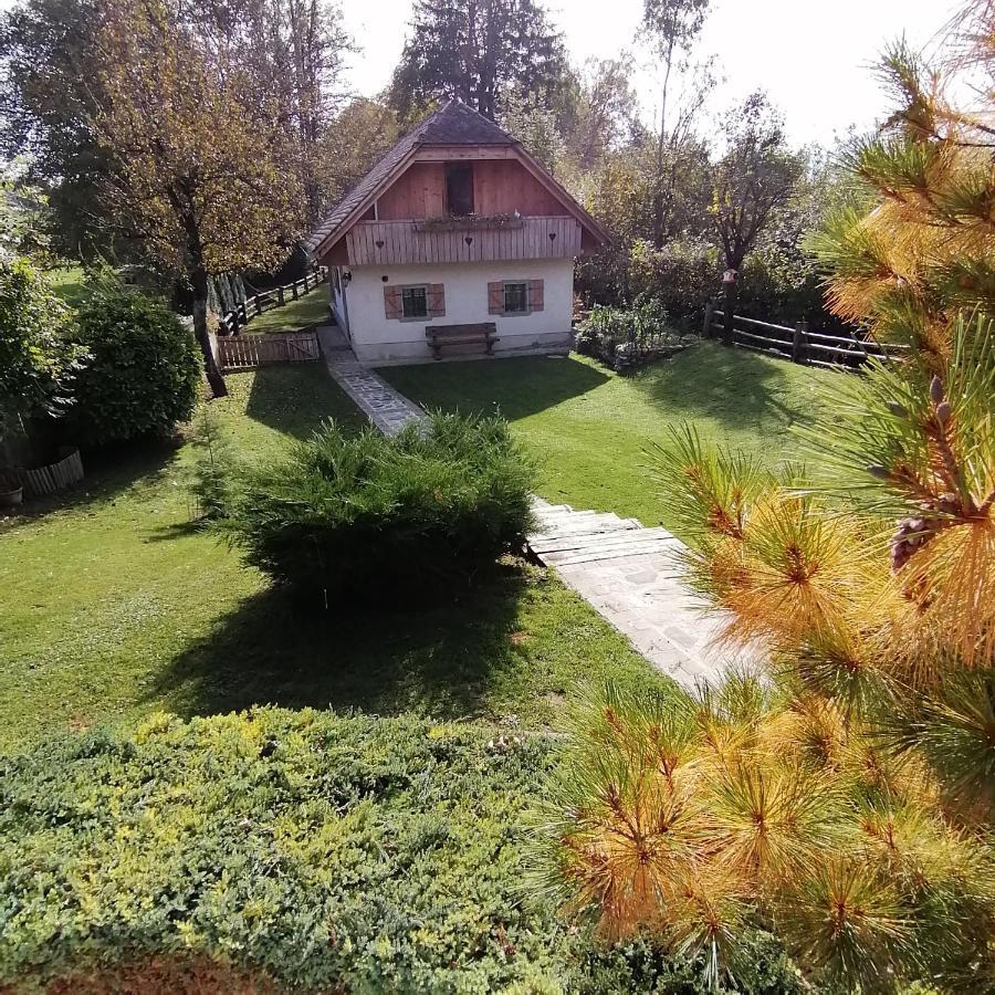 Vila Jana Радовлица Экстерьер фото